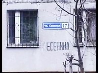 Адаптация Пчел. Улица Есенина