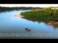 Колумбия. Fishing in The Colombian Amazon-Orinoco