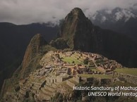 Перу. Feathers and footsteps birds around Peru