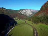 Slovenian Impressions. Forests,  our green lungs